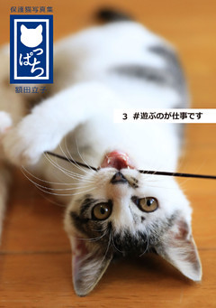 保護猫写真集 ねこっぱち！