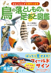 鳥の落としもの&足あと図鑑