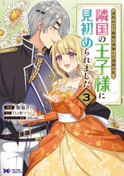 身代わりで縁談に参加した愚妹の私、隣国の王子様に見初められました（コミック） 3