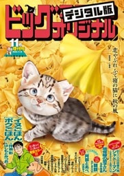 ビッグコミックオリジナル増刊 2025年11月増刊号（2025年10月10日発売）