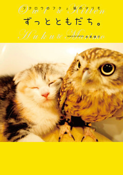 フクロウのフクと猫のマリモ