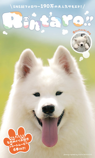 【デジタル限定】りんたろう写真集「Rintaro！！」