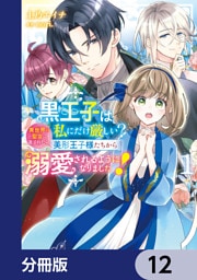 黒王子は私にだけ厳しい？【分冊版】　12