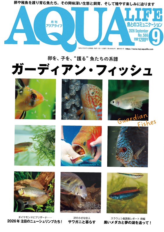 アクアライフ ９月号