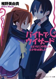 バイトでウィザード　とどけよこの憎しみ、と少年は涙した